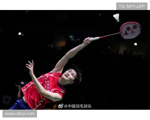 南京羽毛球队精英赛表现分析及比赛经验总结