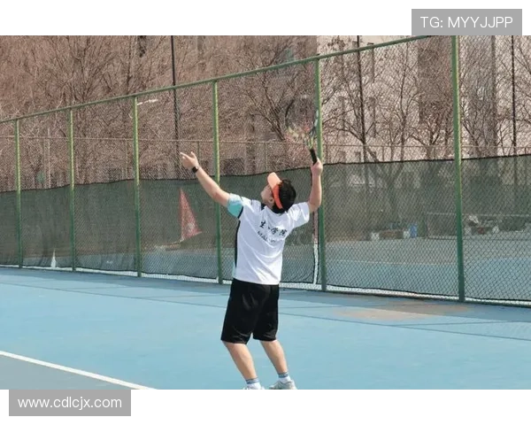 深圳网球队的拼搏之路与挑战赛背后的奋斗故事